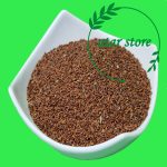 تخم شاهی