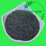تخم شربتی درشت ( تخم ریحان درشت )
