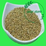 تخم کتان پرنده